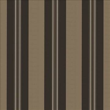 Kasmir Fabrics Panzano Stripe Graphite Fabric 